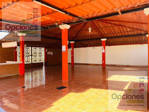 Local - Fraccionamiento Praderas Del Sol