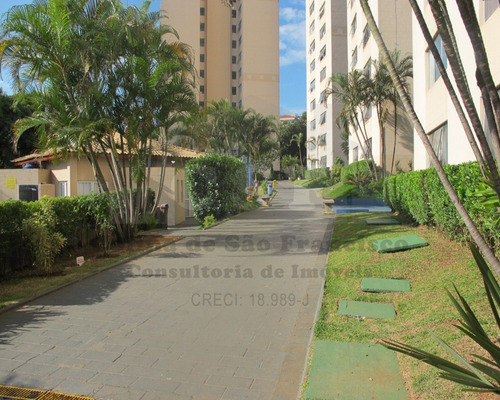 Imagem 21 de 26 de Apartamento À Venda Com 02 Dormitorios E 01 Vaga. - Ap15599 - 70980787