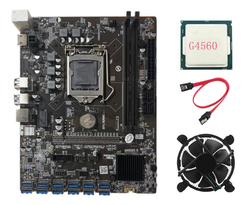 Placa Base Minera B250c Btc Con Cpu G4560 Y Cable De Ventila