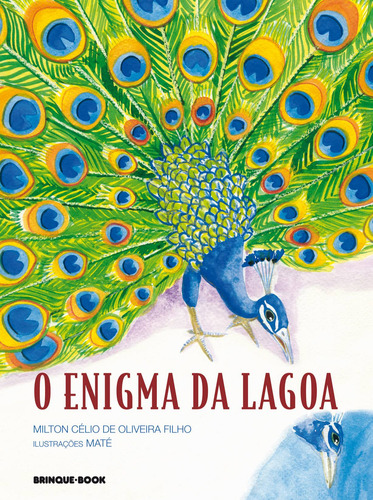 O enigma da lagoa, de Milton Célio de Oliveira Filho. Editora Brinque-Book, capa mole em português, 2010