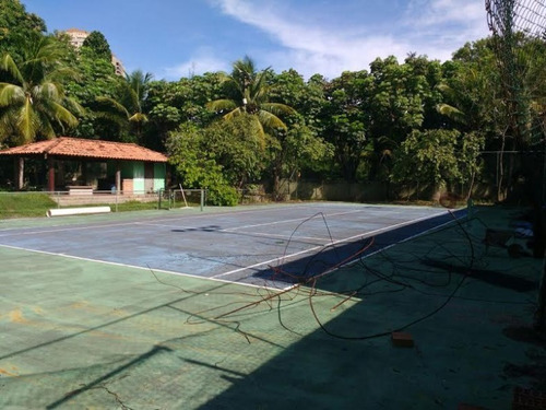 Imagem 13 de 14 de Terreno - Lri1135 - 32804973