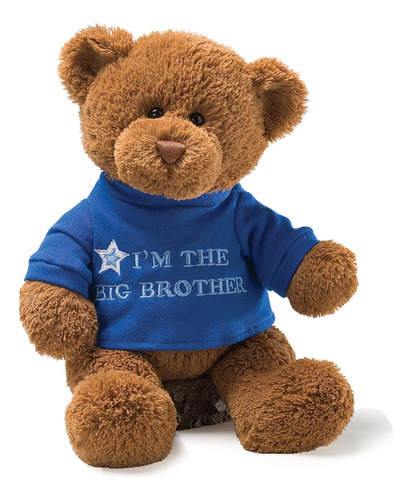 Gund Im El Mensaje Big Brother Bear Con Camiseta Azul, Anima