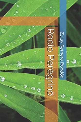 Libro: Rocío Peregrino (spanish Edition)