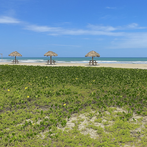 Terreno En Venta En Canoa, Ecuador, A Pocos Minutos Del Mar