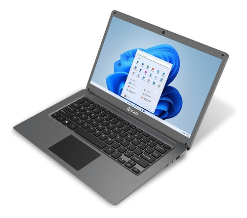 Notebook Exo Smart L35e Ram 4gb Hdd 500gb Windows 11 Color Gris
