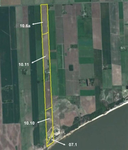Imagen 16 de 18 de Maravillosa Chacra De 37,5 Ha Con Casa A La Costa Del Rio En Artilleros, Colonia, Uruguay.