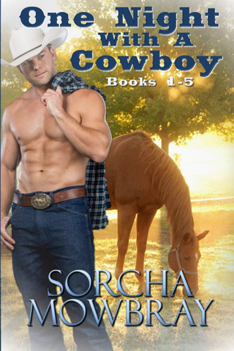 Libro One Night With A Cowboy-inglés