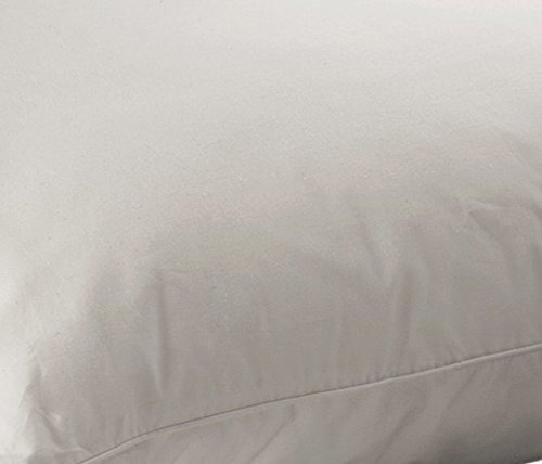 Protector De Almohada Aller-ease Lavable Con Agua Caliente,