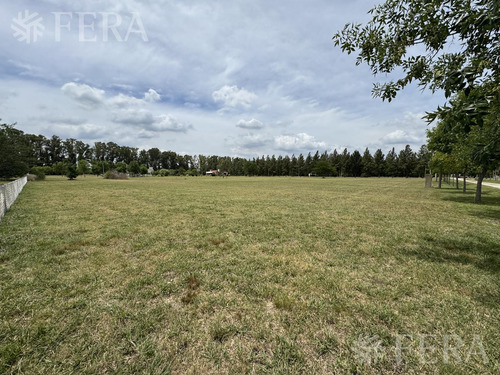 Venta De Terreno En Campos De Roca 2
