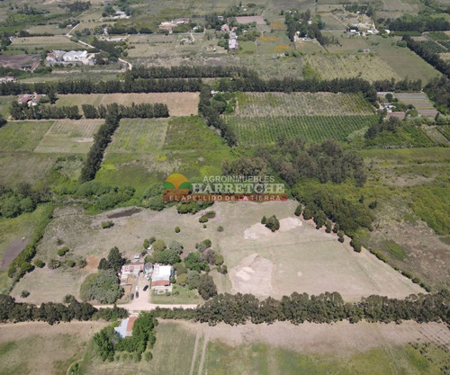 Imagen 7 de 25 de Chacra En Venta 3has, Casa, Arroyo, Tajamar, Monte, Montevideo Rural, A Minutos De La Paz