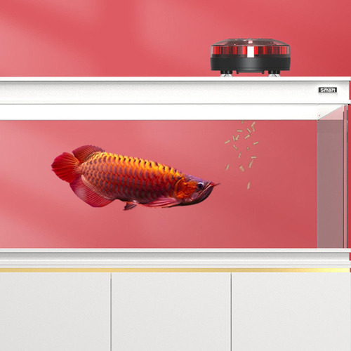 Alimentador Automático De Peces, Comedero Para Acuario En ,