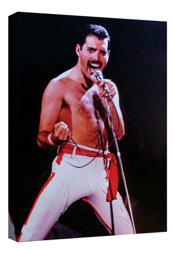 Cuadro Decorativo Canvas Moderno Freddie Mercury Fotografia Armazón Natural