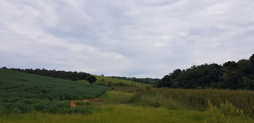 Imagem 4 de 9 de Fazenda 213 Alqueires, Dupla Aptidão, Topografia Plana, Rica Em Água Com Nascentes, Aproveitamento De 85%, Casa Sede, Casa Caseiro, Curral, Galpão - Fa00150 - 70381316