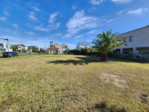 Imagen 6 de 27 de Venta Lote Nuevo Quilmes Interno.