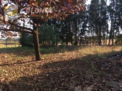 Imagem 20 de 25 de Terreno - Ref: 31873
