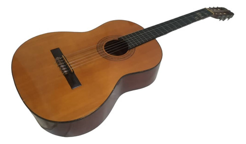 Guitarra Acustica Profesional Española