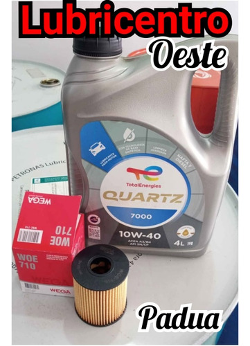 Cambio De Aceite Selenia-elaion-total
