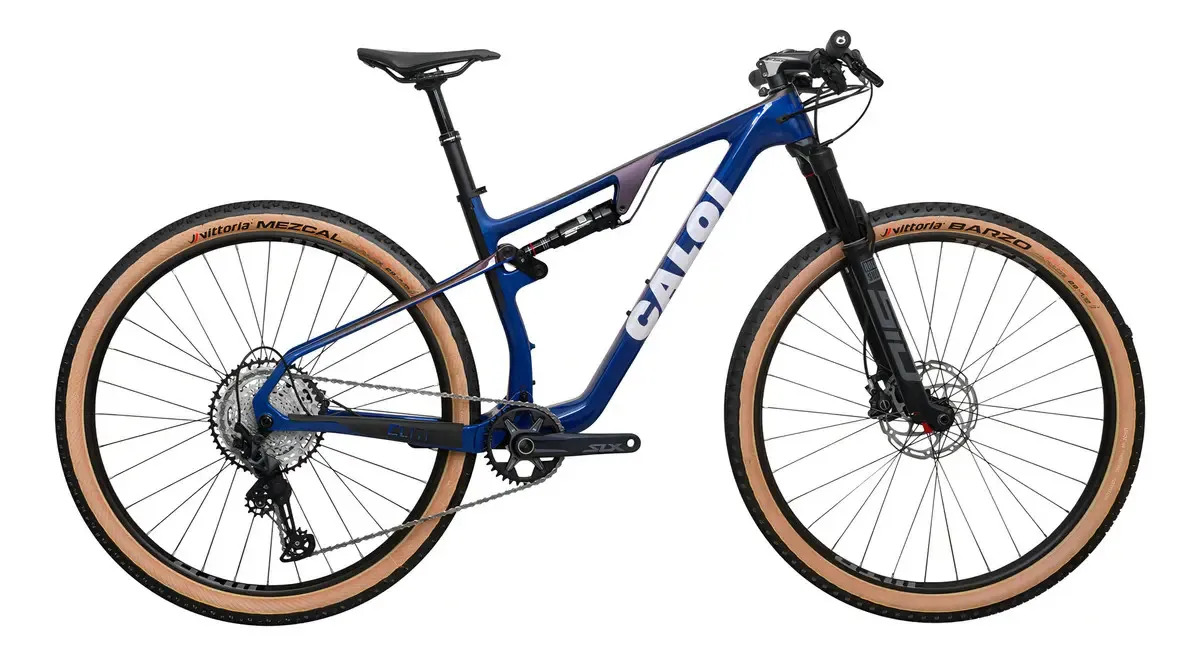 Bicicleta Aro 29 Mtb Caloi Fs Carbon Azul Tam19