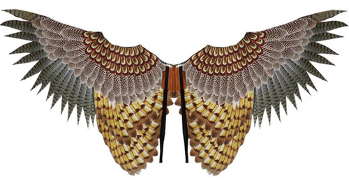 Traje De Búho 3d Para Niños, Traje De Ala De Águila,