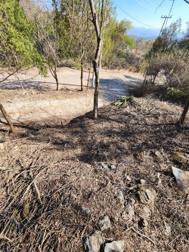 Venta Lote Iris I Muy Plano Y De Bonita Vista Además De Doble Frente En Doble Calle Con Proyecto Incluído En Fracc Rancho San Diego Ixtapan De La Sal Edomex