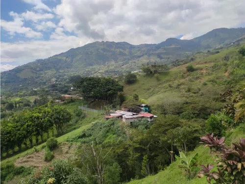 Lote En Girardota Vereda El Limonar