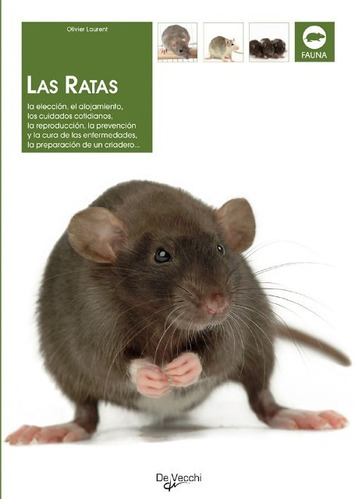 Las Ratas, Olivier Laurent, Vecchi