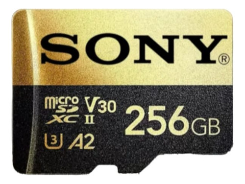 Memoria Micro Sd Sony 256gb