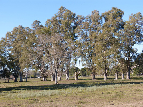 Terreno Lote En Venta En Parada Robles, Exaltación De La Cruz, G.b.a. Zona Norte