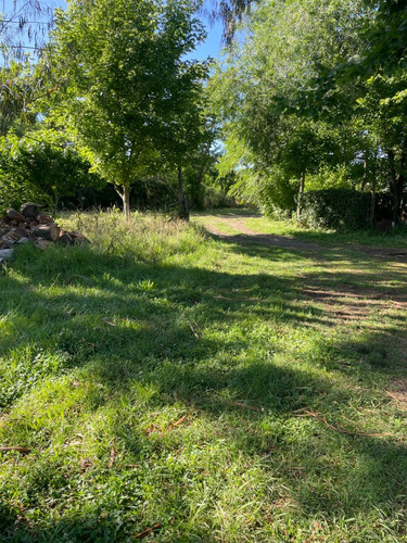 Chacras En Venta De 3 Hectáreas, Zona Rural.