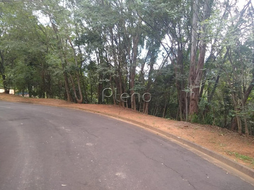 Imagem 8 de 15 de Terreno À Venda Em Joaquim Egídio - Te028079
