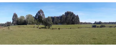 Agrícola en venta