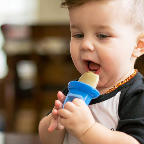 Nuby ® Garden Fresh Paletero Crea Paletas Heladas Bebé Niño