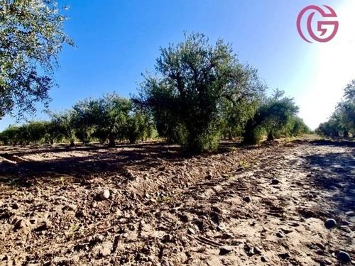 Imagen 13 de 16 de Greenwood Vende Finca Con Potencial