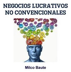 Libro Negocios Lucrativos No Convencionales - Baute, Milco
