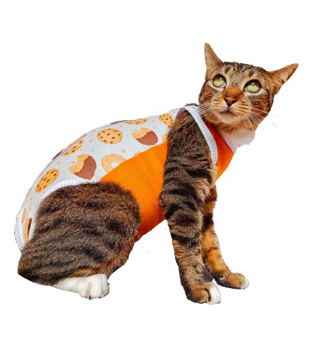 Traje De Recuperacion Para Gato - Unidad a $39900