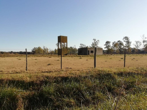 Imagen 12 de 13 de Campo 5ha - Con Pequeña Construcción - Capitan Sarmiento -