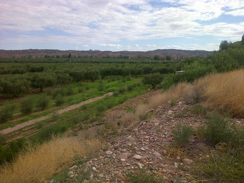 Imagen 3 de 8 de 8.5 Ha Cruz De Piedra - P/loteo