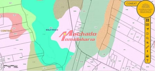 Imagen 3 de 7 de Venta De Chacra En Abra De Perdomo