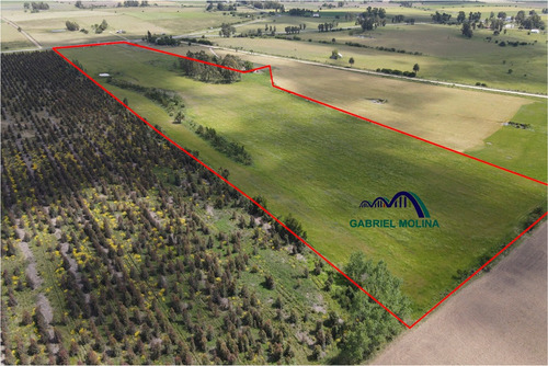 En Venta. 10 Ha Agrícolas - Ganadera.ubicación Estratégica.