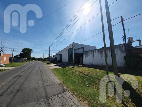 Imagen 4 de 14 de Venta Galpón - San Carlos