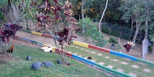 Imagem 5 de 14 de Sitio Para Temporada Barato