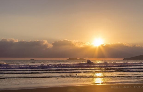 Imagem 16 de 16 de Apartamento Em Florianópolis - Sc - Ad0011_ccon