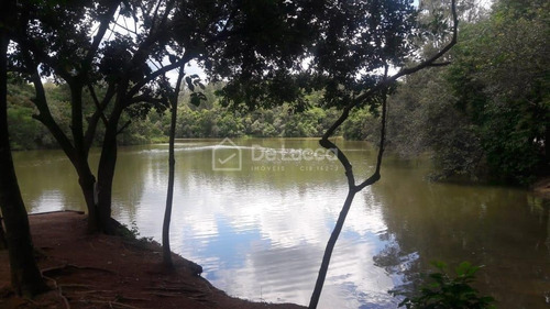 Imagem 3 de 7 de Terreno À Venda Em Joaquim Egídio - Te005159