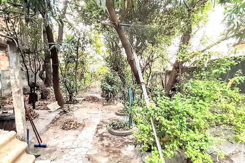 Imagem 10 de 10 de Casa À Venda No Sagrada Família - Código 271850 - 271850