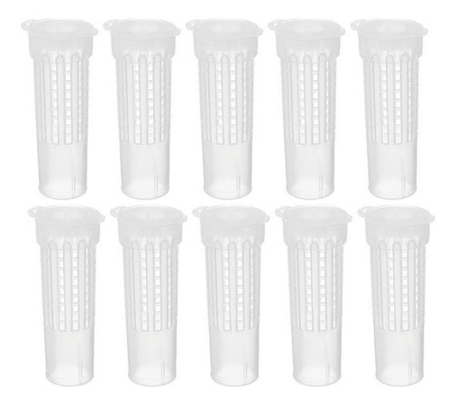 . Kit Material Apícola Caja Jaula De Abeja Reina C