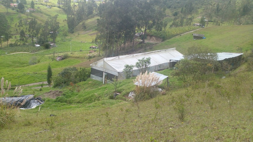 Venta De Terreno, Casa De Campo, Granja, Lote En Hermoso Sector De Cuenca, Punta Corral, Turi