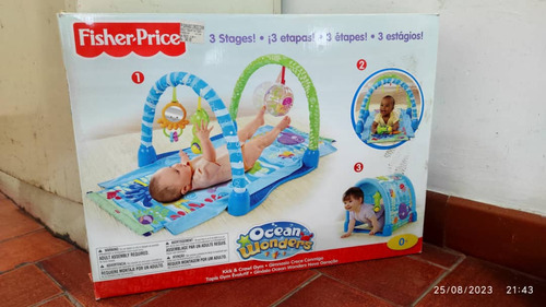 Gym Para Bebé Fisher Price 