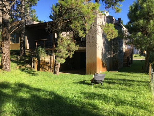 Casa Muy Luminosa, Amplios Placards En Dormitorios, Jardin Con Árboles