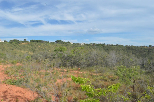 Imagem 4 de 6 de Terreno / Área Para Comprar No Vale Dos Sonhos Em Lagoa Santa/mg - 1402