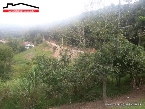 Imagem 10 de 12 de Chácara Em Pinhalzinho Com 7.800 M² De Terreno. - 37